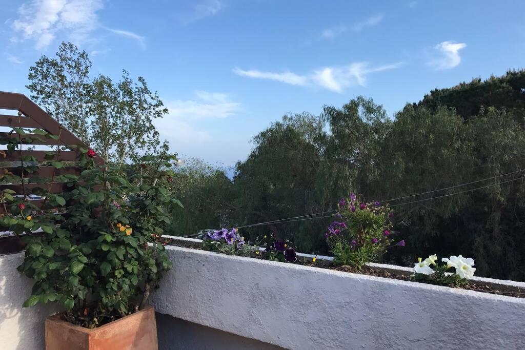Casita Blanca Con Fibra Optica Y Piscina Cominutaria Villa Tossa de Mar Exteriör bild